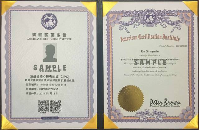 2018年中国心理咨询师认证新风向 变革、机遇与专业发展指南